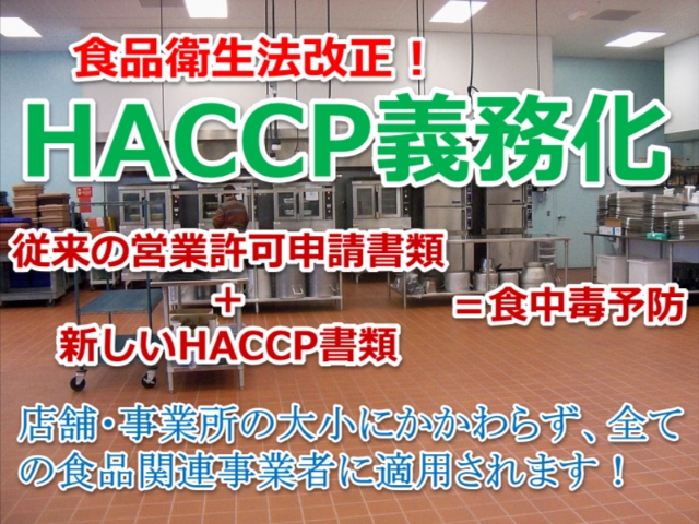 HACCP義務化サムネ